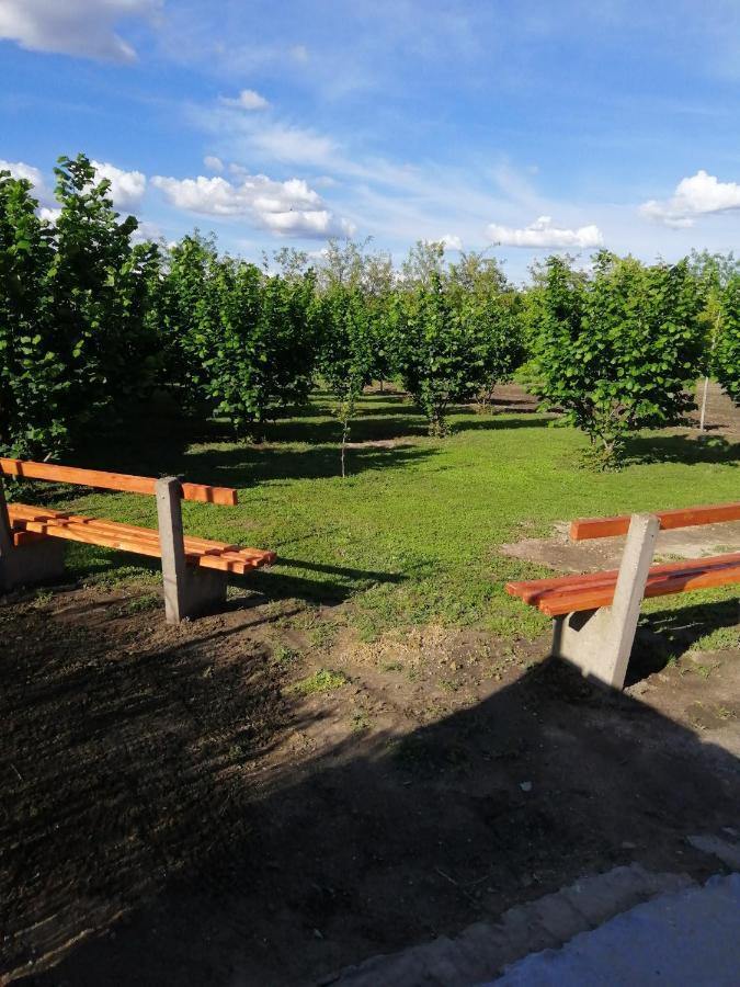Apartman Fiva Apartment Pacir Екстериор снимка